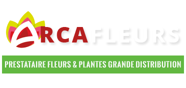 Arcafleurs